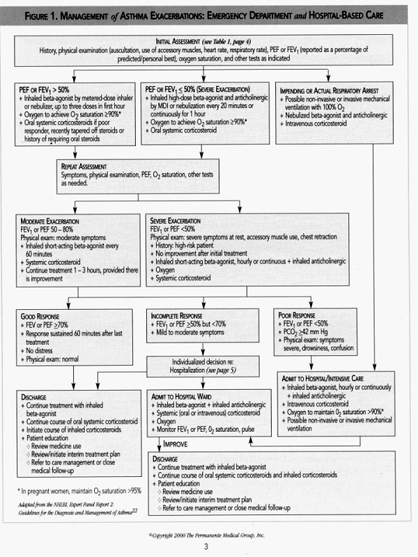 Asthma essay